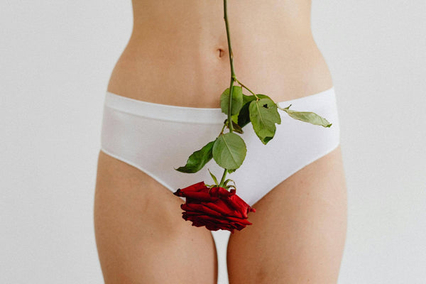 femme avec une rose rouge entre les jambes