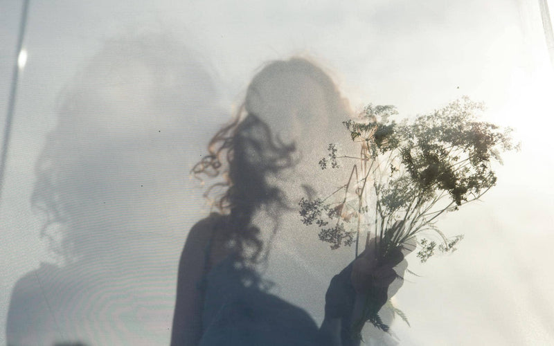 Plaisir : ce que l’ecole ne vous a jamais appris sur le sujet