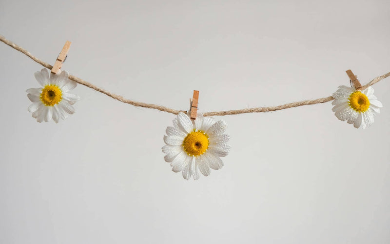 Shibari : l’art du lien sensuel en conscience