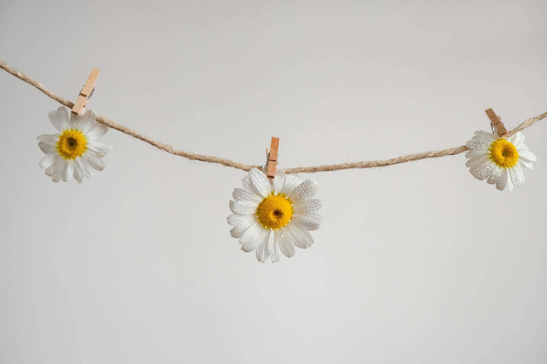fleurs accrochées à une corde
